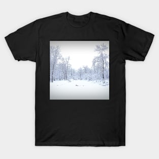 Snow covered pond. T-Shirt